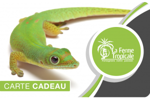 Cartes cadeaux